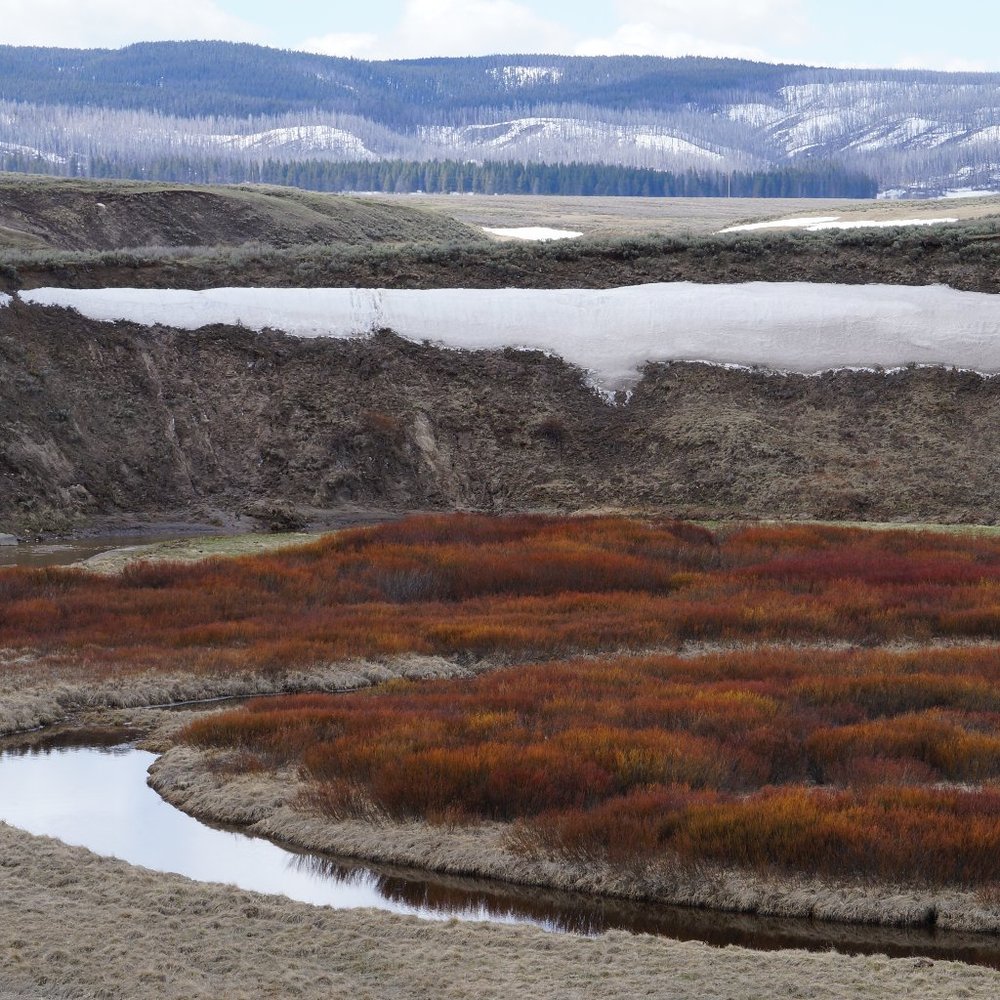 Meet your Posher, Maggie